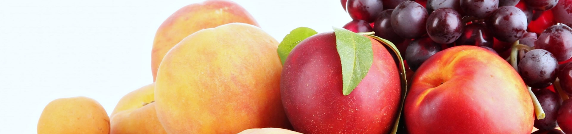 bg-banner
