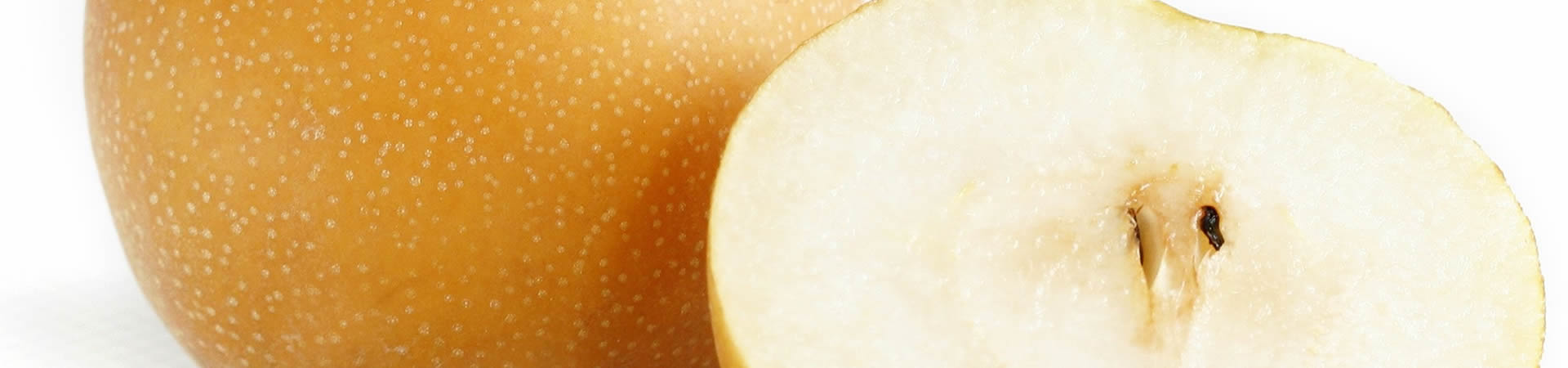bg-banner